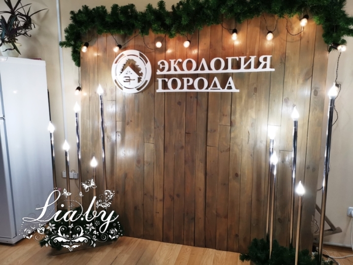 Ширма из деревянного щита — фото 4