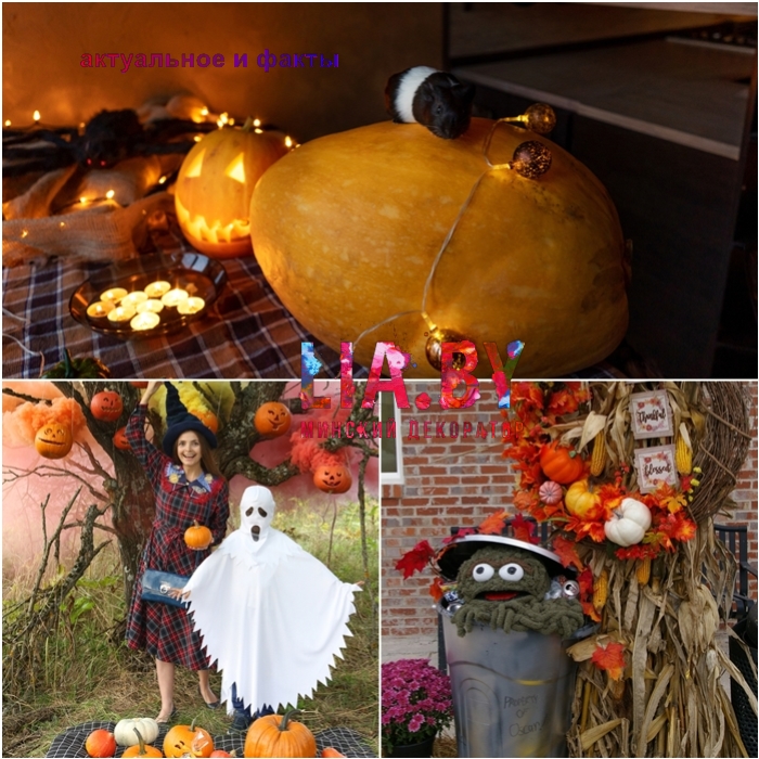Halloween 2021-2022 тренды сезона в декоре — фото 2