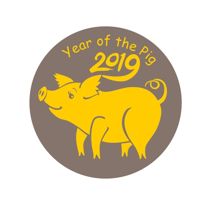 Новый 2019 год: декор, стиль, цвет