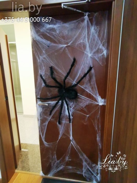 украшение офиса freshly к празднованию halloween, паутина, пауки, тыква, шляпа ведьмы, скелеты
