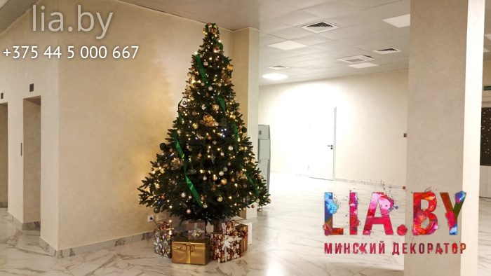 Украшение офиса БНБК к новому году, ели 3 метра реалистик