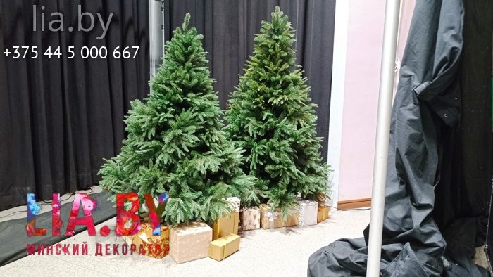 Украшение здания ёлками с подарками и зимней фотозоной.