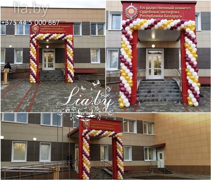 оформление шарами судмедэкспертизы