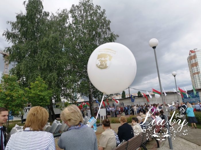 IMG_20190702_085428.jpg
