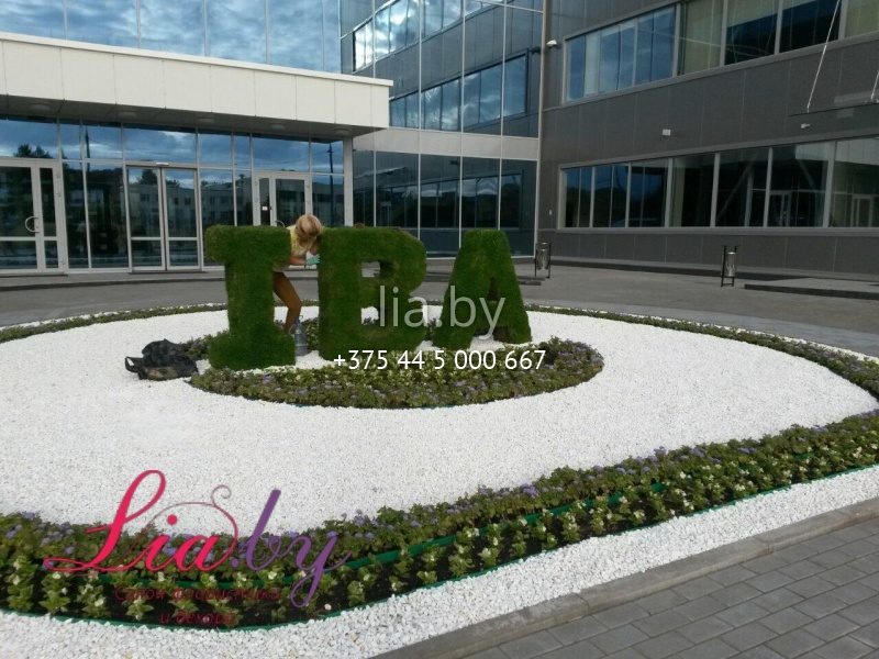 Живой логотип IBA из мха, буквы из мха на заказ в Минске +375445000667