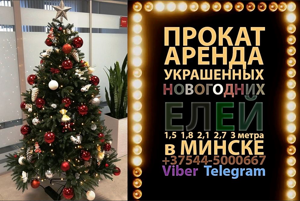 Прокат, аренда украшенных новогодних елей в Минске
