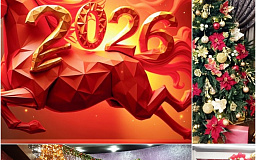 2026: Год Огненной лошади