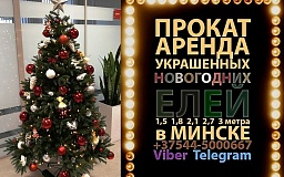 Прокат, аренда украшенных новогодних елей в Минске